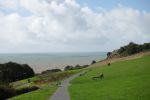 PICTURES/Hastings - Around the Town/t_West Hill6.JPG